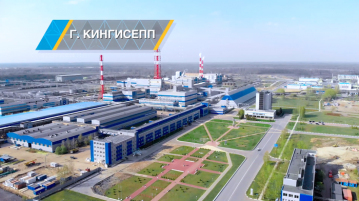 Авиапоставка импортных фитингов для монтажа трубопроводов «Еврохим-Северо Запад»